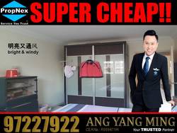 Blk 114 Teck Whye Lane (Choa Chu Kang), HDB 4 Rooms #160530002